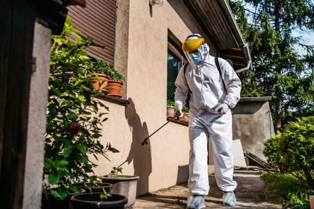 Best Pest Prevention Services  in Oceanside, NY