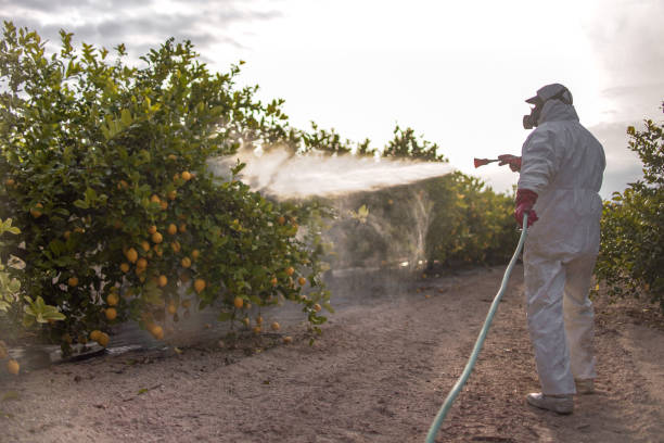Best Commercial Pest Control Services  in Oceanside, NY